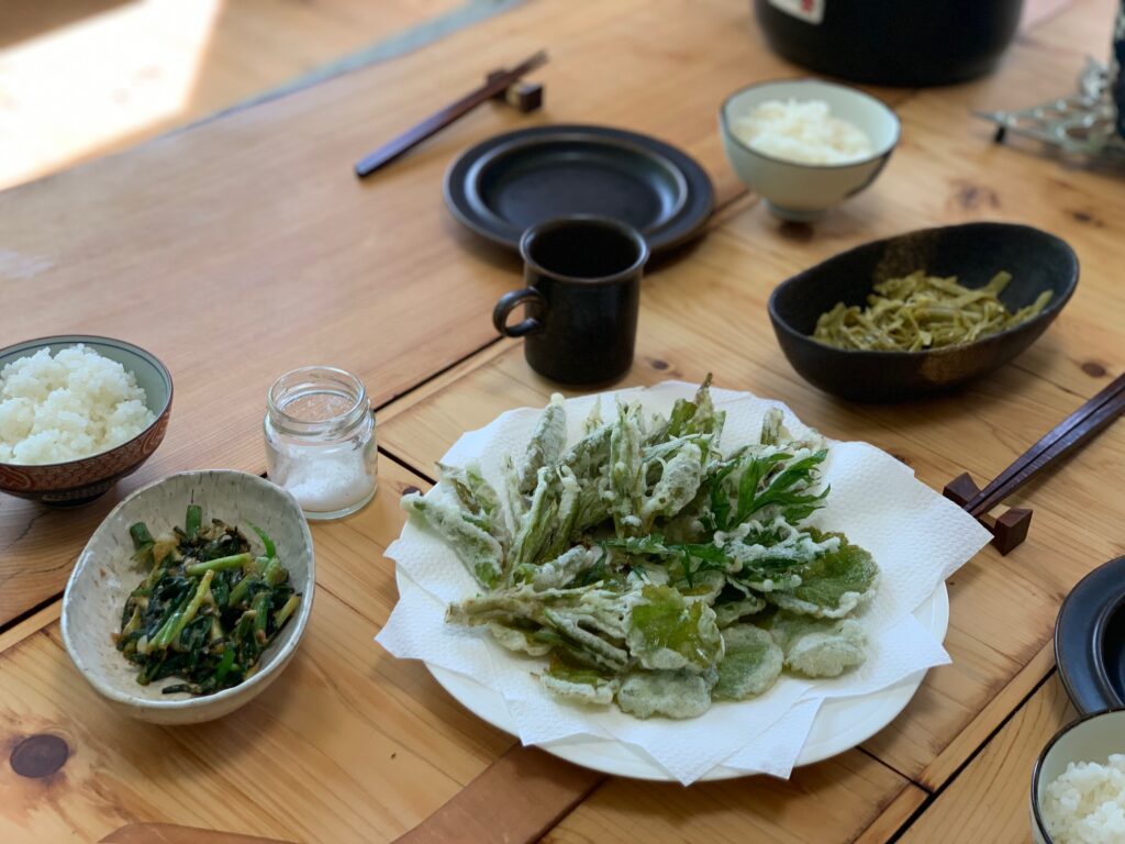 Japanese knotweed recipe