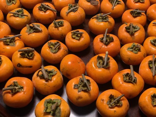 渋柿を保存食に